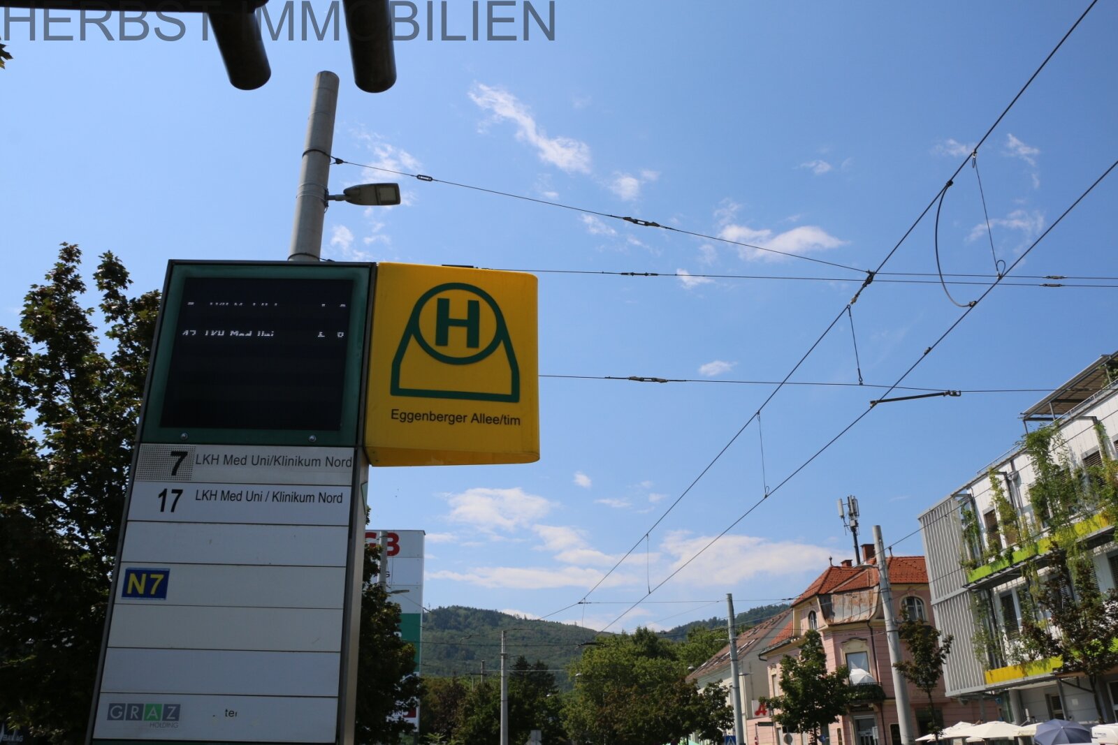 &nbsp;