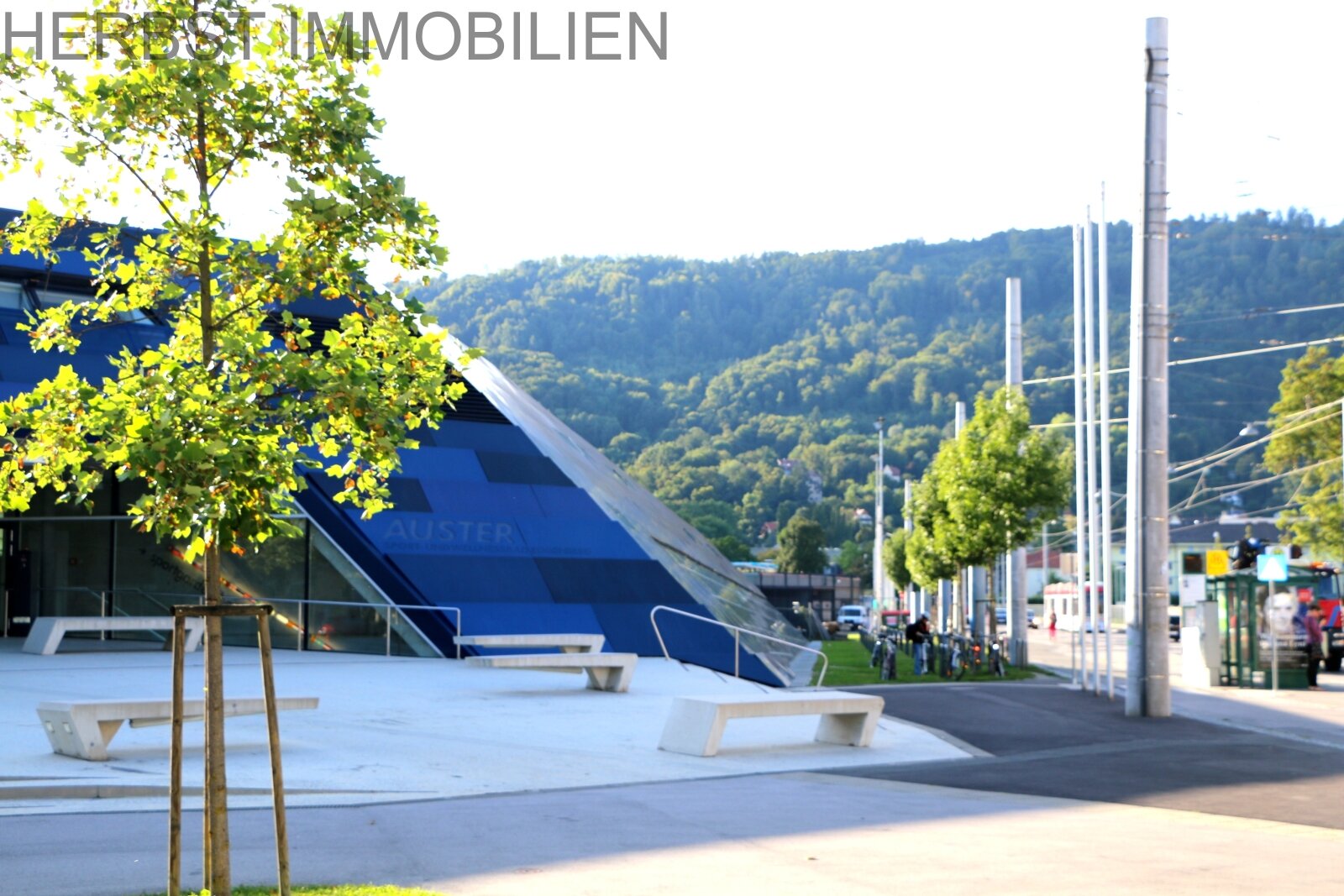 Auster Schwimmbad Wellness