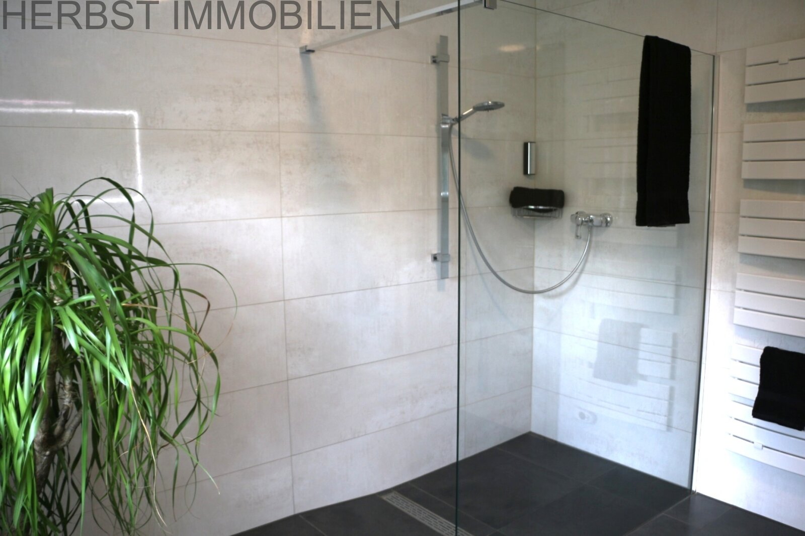 Glaswand Dusche EG Glaswand Dusche EG