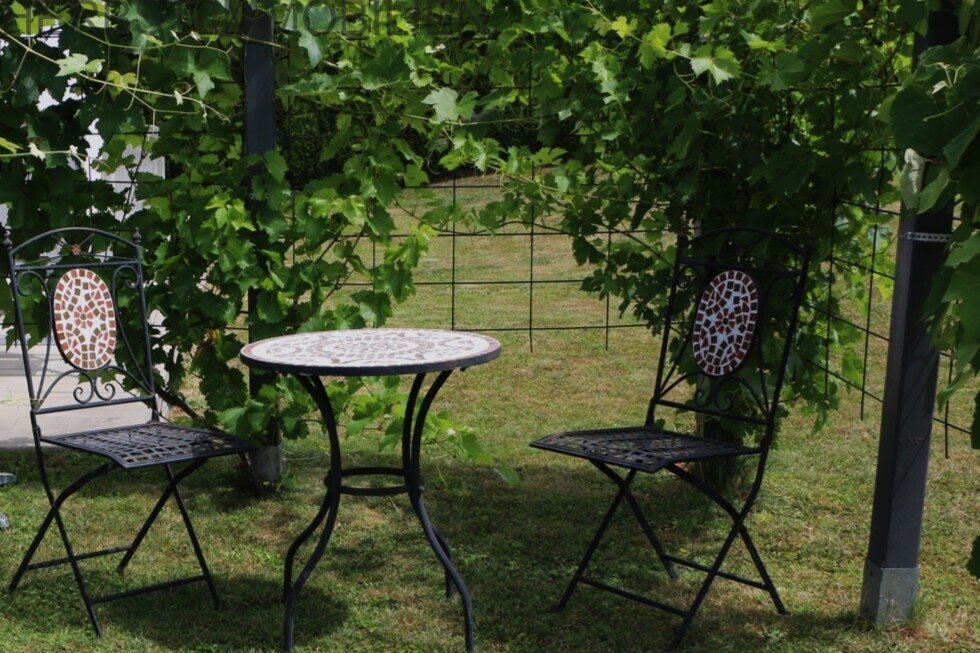 Weinlaube Weinlaube
