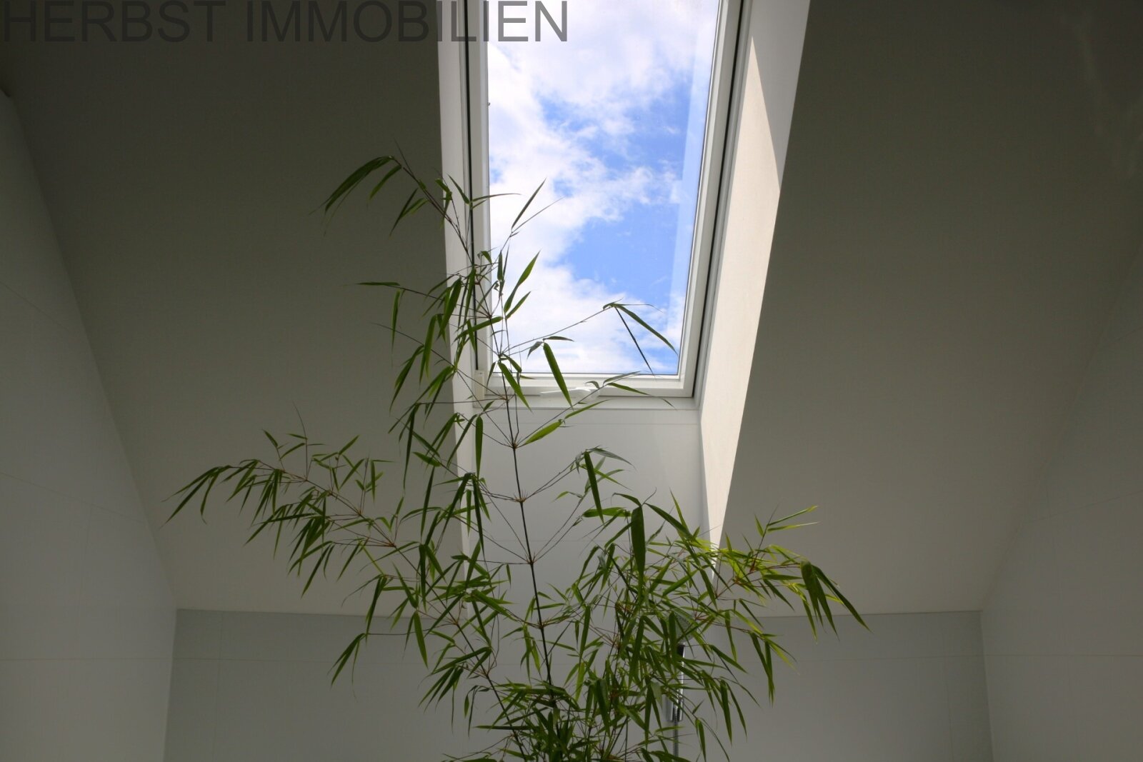Dachfenster Bad DG Dachfenster Bad DG