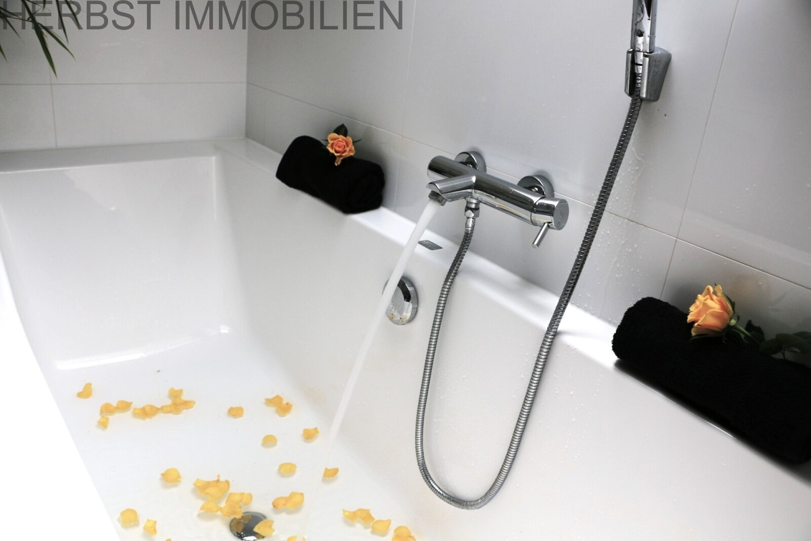 Wanne DG Wanne DG
